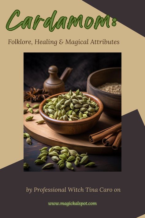 Spice up your magic with 🌟 Cardamom in 'Folklore, Healing & Magical Attributes.' Known for love, clarity, and healing, this aromatic spice enriches spells and potions. 💞🍵 Uncover its folklore, discover its healing powers, and harness its magical energy. Ideal for kitchen witches and herbal enthusiasts. Let Cardamom's exotic essence enhance your magical practice and well-being. 🌿✨ Magical Properties Of Allspice, Cardamom Witchcraft, Cardamom Magical Properties, Herb Preservation, Cardamom Benefits, Herbal Grimoire, Cleansing Spells, Kitchen Witches, Spells And Potions