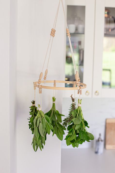 Frosted Candle Jar, Drying Fresh Herbs, Herb Rack, Frosted Candles, Hanging Drying Rack, Hanging Herbs, Hydroponic Plants, Clothes Drying Racks, Drying Herbs