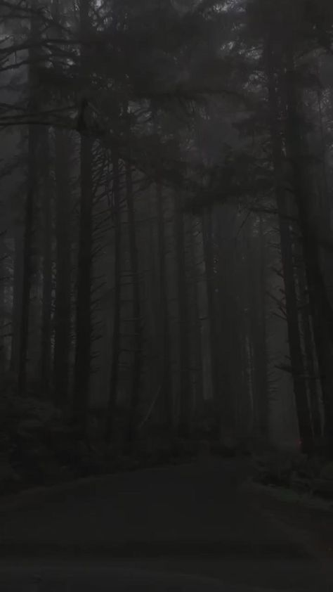 Scary Backgrounds, Dark Forest Aesthetic, Ghost Videos, Rainy Day Aesthetic, Dark Landscape, Dark Green Aesthetic, Sky Photography Nature, Dark Nature Aesthetic, Gothic Aesthetic