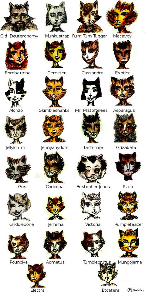 A Guide to the Cats of Cats: The Musical Cats Musical Aesthetic, Cats Costume Musical, Cats Makeup Musical, Cats Musical Makeup, Cats Musical Costume, Cats Musical Fanart, Grizabella Cats, Cats The Musical Costume, Cats Broadway