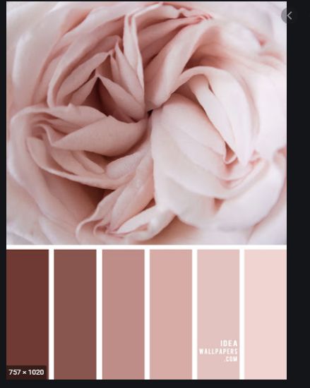 Maroon Color Palette, Apartment Color Schemes, Kura Bed, Colorful Interior Design, Pink Color Schemes, Paint Color Schemes, Living Room Color Schemes, Grey Color Palette, Room Color Schemes