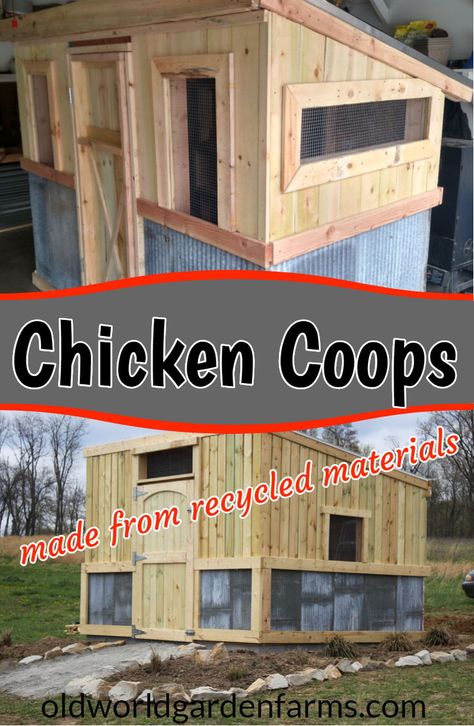 How to make a Chicken Coop out of recycled materials such as pallets and crates. #chickencoop #recycle #repurpose #reuse #pallet #metal #crate #diy #woodprojects #chicken #oldworldgardenfarms Make A Chicken Coop, Chicken Shelter, Old World Garden, Chicken Coop Pallets, Pallet Projects Garden, Chicken Coup, Diy Chicken Coop Plans, Garden Pallet, Crate Diy