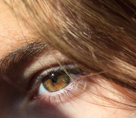 Hazel eyes Hazel Eyes Aesthetic Wallpaper, Eyes Aesthetic Wallpaper, Rachel Amber Aesthetic, Hazel Eyes Aesthetic, Hazel Eyes Brown, Dark Hazel Eyes, Amber Aesthetic, Jennifer Lynn Barnes, Brown Eyes Aesthetic