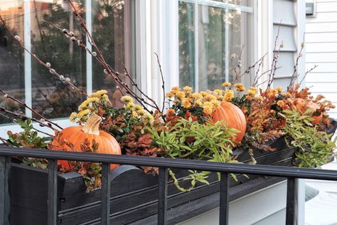 35 Fall Container Gardening Ideas for 2023 | Photos & Tips Fall Curb Appeal, Fall Window Boxes, Fall Landscaping, Fall Windows, Fall Container Gardens, Ornamental Cabbage, Fall Containers, Window Box Flowers, Easy Fall Crafts