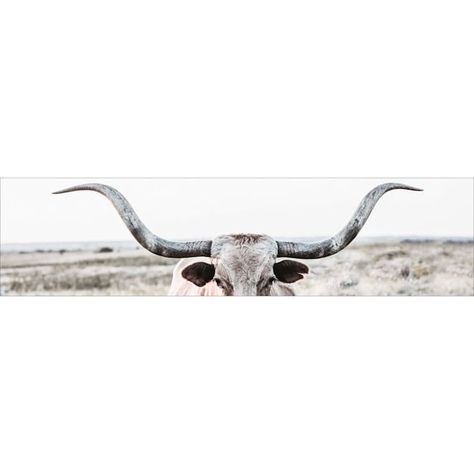 36X9 Longhorn Shows Off Canvas Longhorn Canvas, Painting Above Bed, Townhome Decorating, Western Wall Decor, Sweet Pictures, Guest Room Decor, Texas Longhorn, Austin Homes, Texas Longhorns