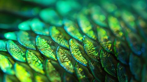 The textured ridges of a fish scale shimmer with a vibrant green glow as if lit from within. AI generated stock photos Green Scales, Drawing Figures, Glow Fish, Green Fish, Blues Scale, Concept Board, Deep Ocean, Fish Scale, Fish Scales