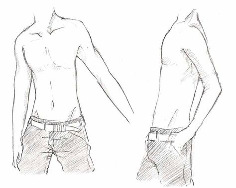 Ref Male Body Drawing, Anime Male, Drawing Body Poses, Male Torso, Body Sketches, Body Reference Drawing, Body Anatomy, Poses References, Anatomy Drawing