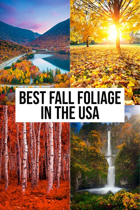 Where to see the most beautiful fall foliage in the USA! | fall foliage | fall foliage road trip | fall foliage New England | fall foliage USA | Fall Travel Destinations, Fall Foliage Road Trips, Fall Road Trip, Travel Bucket List Usa, Us Road Trip, Usa Travel Guide, Usa Travel Destinations, Fall Travel, United States Travel