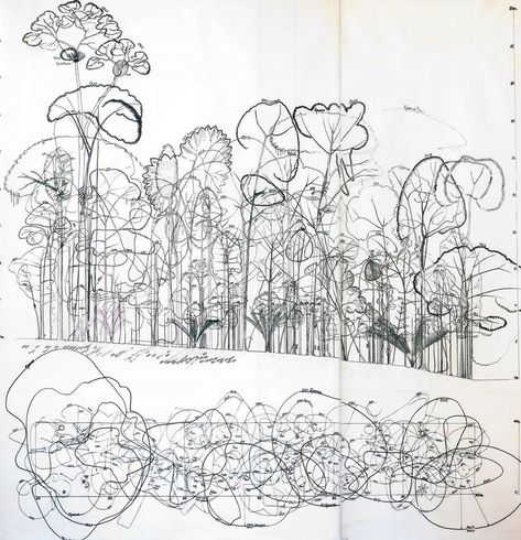 Forest Architecture, Incredible Drawings, Forest Sketch, Landscape Diagram, The Botanist, Landscape Design Drawings, Section Drawing, Tree Study, Landscape Sketch