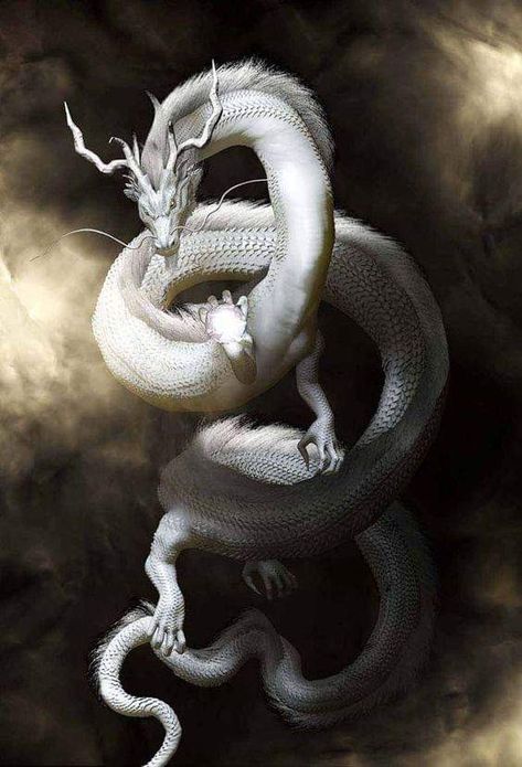 White Dragons reflect all the colors of the Rainbow. Tato Naga, Eastern Dragon, Asian Dragon, Dragon Tattoo Designs, Mythical Beast, Seni 3d, Dragon Lover, Dragon Pictures, White Dragon