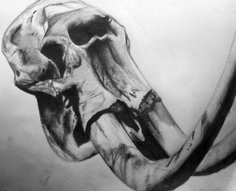 Elephant Skull Drawing, Elephant Skull Tattoo, Skull Drawing Tattoo, Geometric Shape Tattoo, Tattoo Crane, Elephant Skull, Side Tat, Sleeve Inspiration, Tattoo Elephant