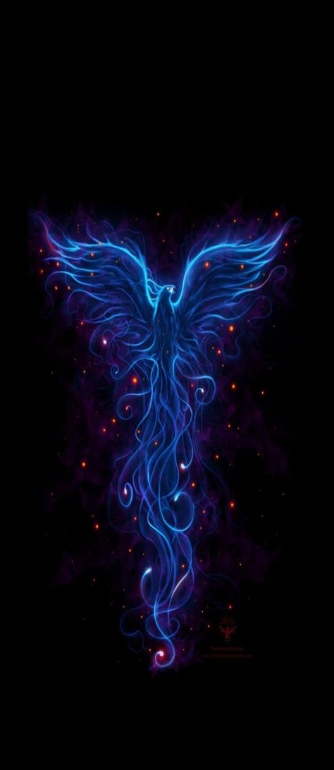 Phoenix Background Wallpapers, Phinex Bird Drawing, Pheonix Aestethic, Pheonix Aestethic Wallpaper, Phoenix Aesthetic Wallpaper, Phoenix Wallpaper Iphone, Phoenix Wallpaper Hd, Fenix Wallpaper, Harli Queen