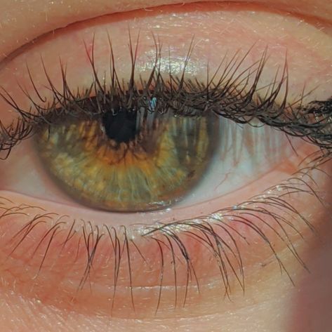 Lashes, Yellow, Green