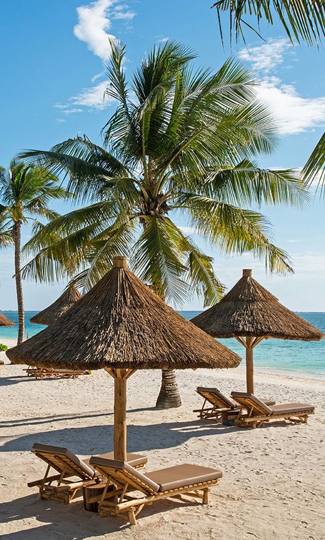 Beach Resort Aesthetic, Beach Resort Design, Africa Beach, African Beach, Zanzibar Travel, Tropical Beach Resorts, Beach Tree, Zanzibar Beaches, Palm Tree Beach