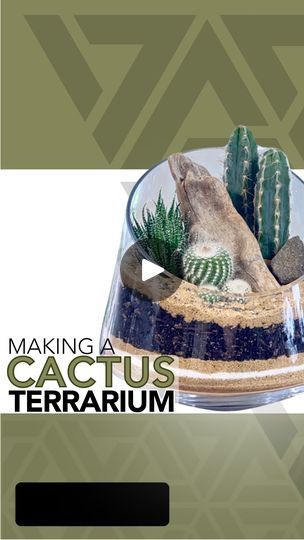 19K views · 7.5K reactions | My latest cactus terrarium 🌵 | JOHNATHON Q SWANSON | johnathonqswanson · Original audio Cactus Terrarium Ideas, Fishbowl Terrarium, Make A Cactus, Terrarium Tutorial, Large Cactus, Low Light House Plants, Cactus Terrarium, Cactus Succulents, Plant Covers