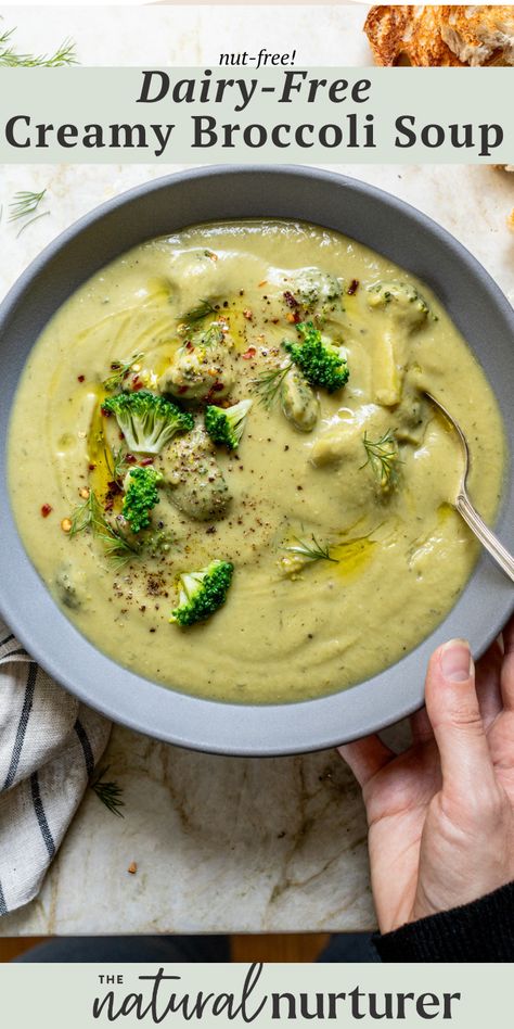 This creamy broccoli soup is totally dairy-free + nut-free! A silky smooth blend of white beans, veggies, w/ bite-sized broccoli florets in each bite. Crockpot Soup Recipes Dairy Free, Soup Recipes Dairy Free, Creamy Broccoli Soup Recipe, Soup Dairy Free, Family Meal Planning Healthy, Natural Nurturer, Creamy Broccoli Soup, Dairy Free Soup, Broccoli Soup Recipes