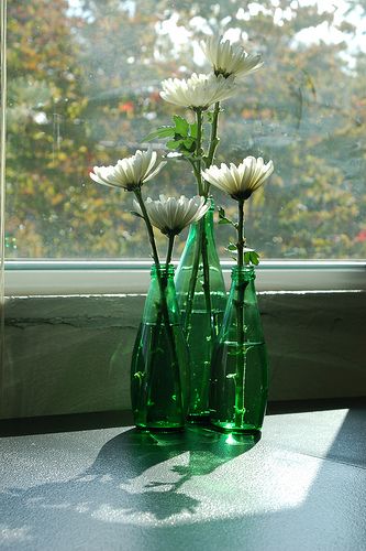 new centerpiece, thanks to a few perrier bottles by jkenning, via Flickr Gerbera Daisy Centerpiece, Daisy Centerpieces, Reuse Bottles, Banquet Ideas, Green Centerpieces, Bottle Centerpieces, Handmade Gifts Diy, Glass Bottle Diy, Paris Themed