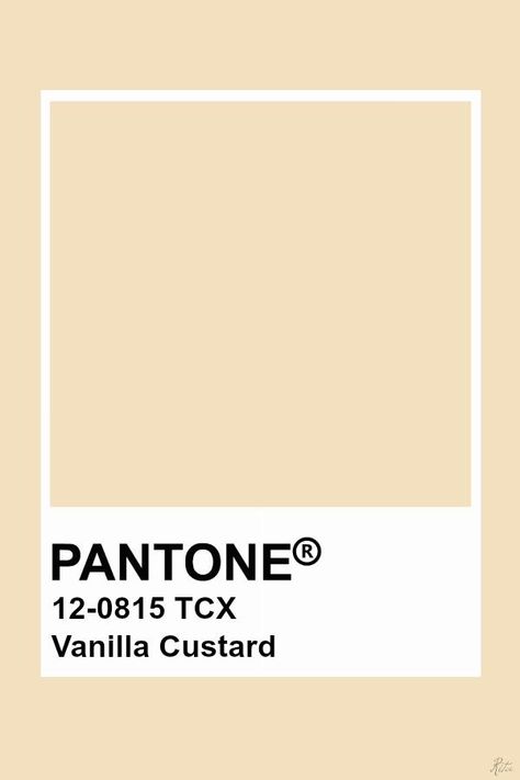 PANTONE Vanilla Custard Pantone Tcx, Cv Inspiration, Pantone Swatches, Pantone 2020, Pantone Palette, Pantone Colour Palettes, Pantone Colors, Vanilla Custard, Color Analysis