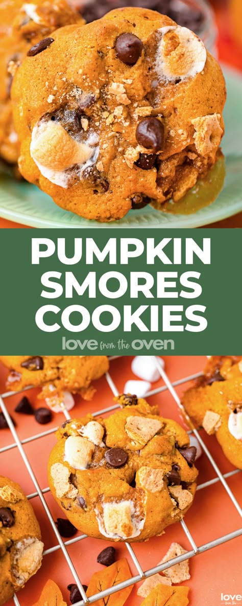 Smores Cookies Bars, Chocolate Chip Marshmallow Cookies, Love From The Oven, S Mores Cookies, Marshmallow Chocolate, Marshmallow Cookies, Fall Baking Recipes, Pumpkin Spice Recipe, Smores Cookies