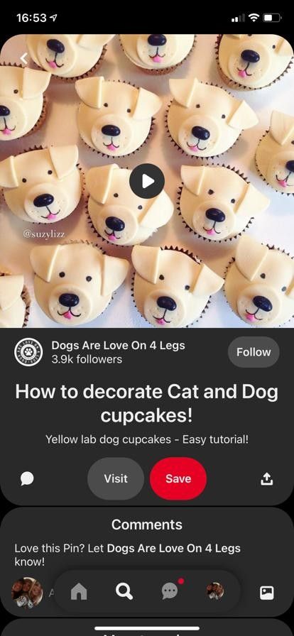 Dog Cupcakes, Lab Dog, Lab Dogs, Yellow Lab, Easy Tutorial, Cake Ideas, Dog Cat, Lab, Cake