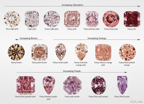 Pink Diamonds | Buying Guide | Prices, Color, Rarity | PriceScope Athena Jewelry, Pink Diamond Halo Ring, Diamond Color Chart, Pink Diamond Earrings, Diamond Image, Argyle Pink Diamonds, Brown Diamonds, Expensive Diamond, Pink Emerald