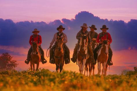 Premium Photo | Group of cowboy riding horse Cowboy Riding Horse, Western Photoshoot, Group Of Five, Dorm Art, Space Cowboy, Riding Horse, Western Riding, Space Cowboys, Photo Grouping