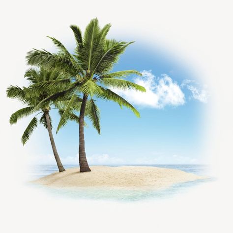 Palm tree on island isolated on white, beach design psd | premium image by rawpixel.com / Benjamas Island Clipart, Tree Psd, Palm Tree Island, Cloud Stickers, Paper Flower Wall Decor, Beach Ideas, Creative Poster, Bicycle Art, Paper Flower Wall