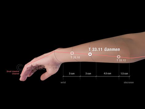 Acupuncture Point, Ear Anatomy, Lung Disease, Acupuncture Points, Certificate Programs, Reflexology, Free Courses, Continuing Education, Acupuncture