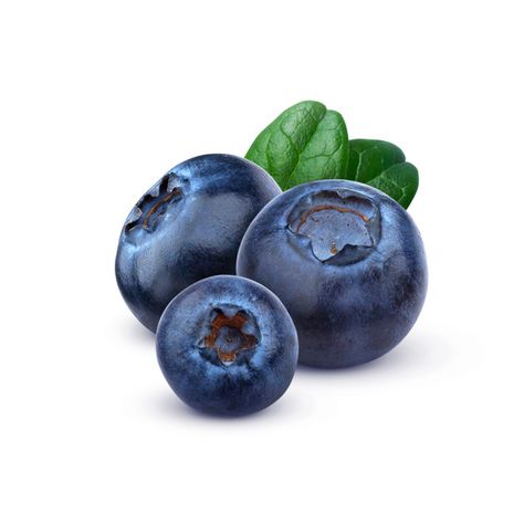 Premium Photo | Blueberry isolated on white background Cheesecake Blueberry, Grow Blueberries, Cake Blueberry, Healthy Food Quotes, Highbush Blueberry, Blueberry Topping, Yummy Healthy Breakfast, Fruit Coloring Pages, Fruits Photos