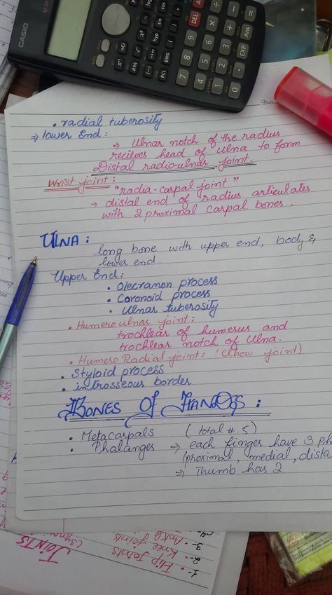 upper limb anatomy Mbbs 1st Year Anatomy Notes, Upper Limb Anatomy Notes, Limb Anatomy, Upper Limb Anatomy, Medical Notes, Medical School Inspiration, Science Notes, 1st Year, School Inspiration