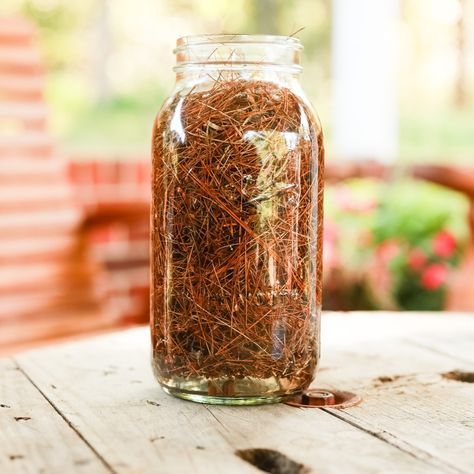 Refresh Your Home Naturally: DIY Pine Cleaner with Vinegar and Pine Needles Pine Cleaner, Natural Cleaners Diy, Half Gallon Mason Jars, Gallon Mason Jars, Vinegar Cleaner, Diy Household Cleaners, Gallon Jars, Natural Disinfectant, Natural Alternatives