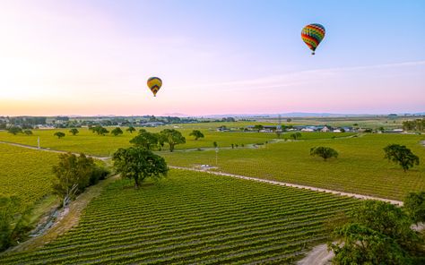 Sonoma Ballooning welcomes locals and guests from around the world daily. Whether you are on your dream wine country vacation, a romantic getaway to Sonoma or simply on a “staycation,” we’ve got you covered with our Sonoma Valley balloons. Hot Air Balloon Wedding, Country Vacation, Sunrise Wedding, Private Flights, Vegan Wine, Sonoma Wine Country, Sonoma Valley, Romantic Getaway, Wedding Balloons