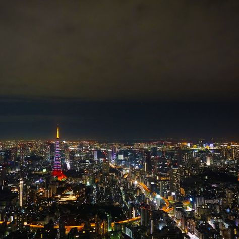 Tokyo From Above City From Above, Meiji Shrine, Shinjuku Gyoen, Roppongi Hills, Ueno Park, Yoyogi Park, Shibuya Crossing, Astronaut Wallpaper, Tokyo Night