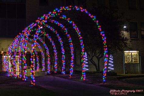 Christmas Light Tunnel, Christmas Tunnel, Light Tunnel, Website Marketing, Christmas Yard, Random Image, Xmas Decor, Christmas Light, Outdoor Christmas