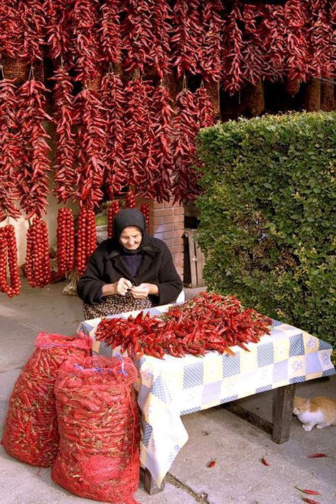 Hungary, pepper garland making and drying near Szeged_Hungary, paprika füzér készítés és szárítás Szeged közelében Hungary Food, Hungarian Paprika, Woodland House, Hungary Travel, Danube River, Hungarian Recipes, Central Europe, Budapest Hungary, People Of The World