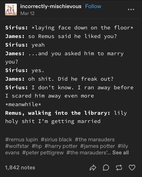 Marauders Ships, Headcanon Harry Potter, Orion Black, Barty Crouch, Gay Harry Potter, Harry Potter Images, Harry Potter Comics, Harry Potter Ships, Harry Potter Headcannons