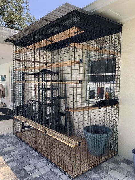 My Catio and Cat-Friendly Backyard - CatVetLife Catio Ideas Cat, Catio Plans, Diy Cat Enclosure, Cat Stand, Katt Grejer, Cat Patio, Outdoor Cat Enclosure, Cat House Diy, Cat Run