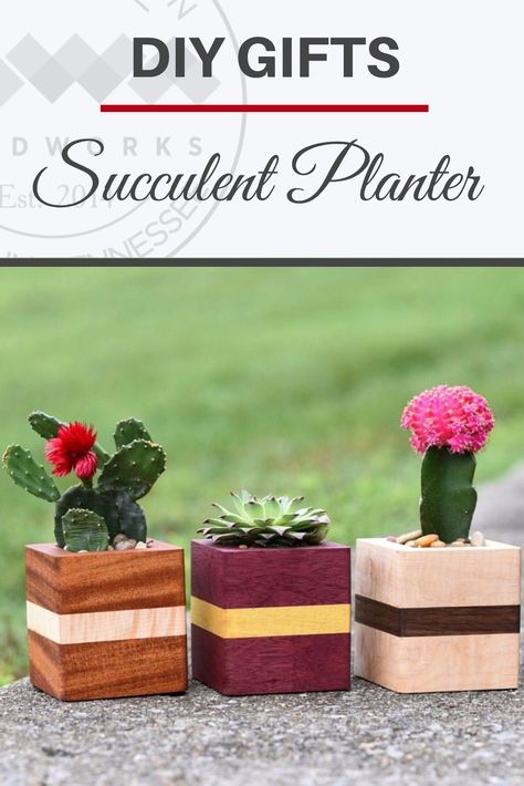 Wood Succulent Planter Diy, Wooden Succulent Planter Diy, Succulent Gifts Diy, Woodworking Gifts, Wooden Succulent Planter, Small Easy Woodworking Projects, Wood Succulent Planter, Succulent Planter Diy, Planter Gift