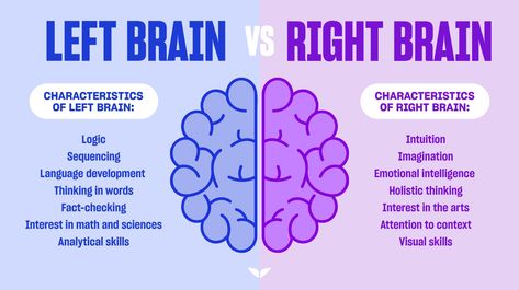 Diagram comparing left brain vs. right brain Right Brain Vs Left Brain, Left Vs Right Brain, Left Brain Vs Right Brain, Left Brain Right Brain, Left Brain, Right Brain, Fact Checking, Language Development, Human Brain