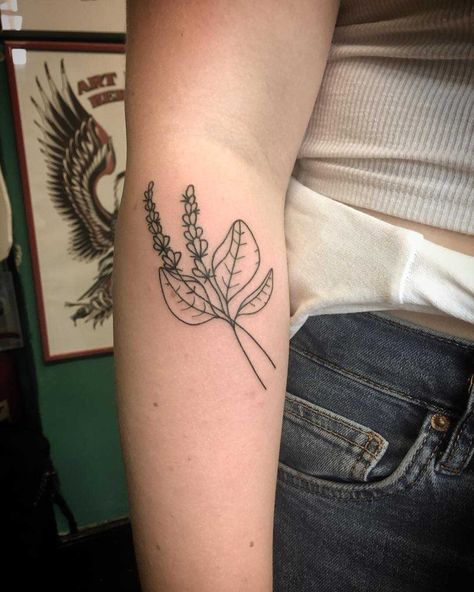 Heather and Basil as an homage to the grandpa by Kirk Budden inked on the right forearm Basil Tattoo, Related Tattoos, Heather Plant, Basil Leaf, Beautiful Flower Tattoos, Plant Tattoo, Fairy Tattoo, Tattoo Small, Subtle Tattoos