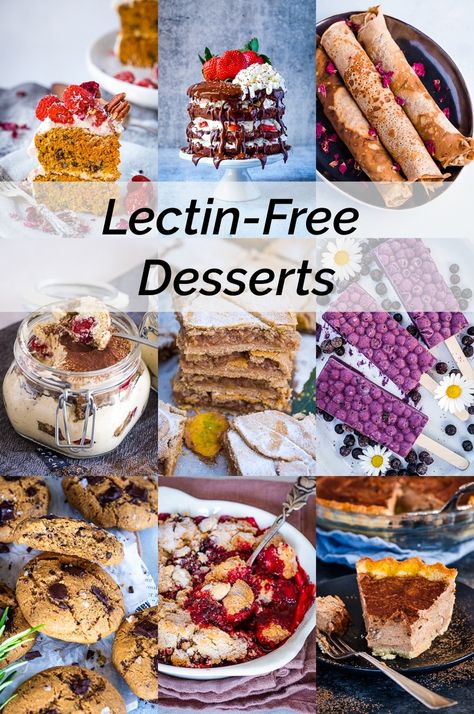 Lectin Free Foods Dr Gundry, Plant Paradox Desserts, Lectin Free Desserts, Lectin Free Recipes, Dr Grundy, Gundry Diet, Gundry Recipes, Lectin Free Foods, Plant Paradox Diet