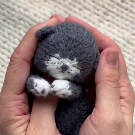 398K views · 5.8K reactions | Sleeping kitten Knitting Pattern | kitten, pattern, house cat | I've knitted this pattern more than once and it's my go-to pattern when I need a special gift😍. ✔️This pattern is made so that a beginner can create an... | By SweetyCraft | Facebook Sleeping Kitten Knitting Pattern Free, Kitten Knitting Pattern, Cat Knitting Pattern, Free Aran Knitting Patterns, Cat Knitting, Aran Knitting, Crochet Photo Props, Aran Knitting Patterns, Tiny Cats