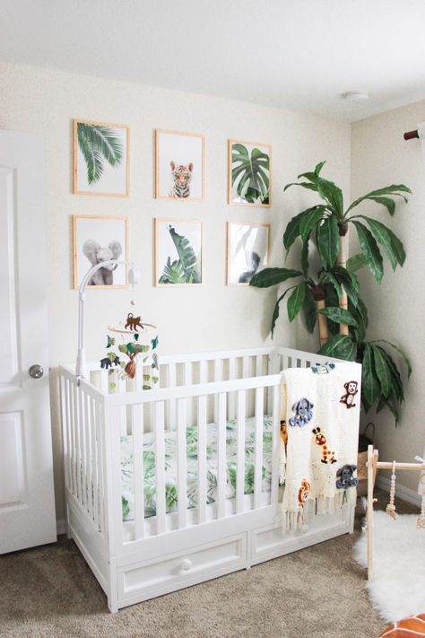 Jungle Theme Baby Room, Neutral Safari Nursery, Baby Boy Nursery Ideas, Safari Nursery Boy, Boy Nursery Ideas, Jungle Themed Nursery, Jungle Theme Nursery, Safari Theme Nursery, Tropical Nursery