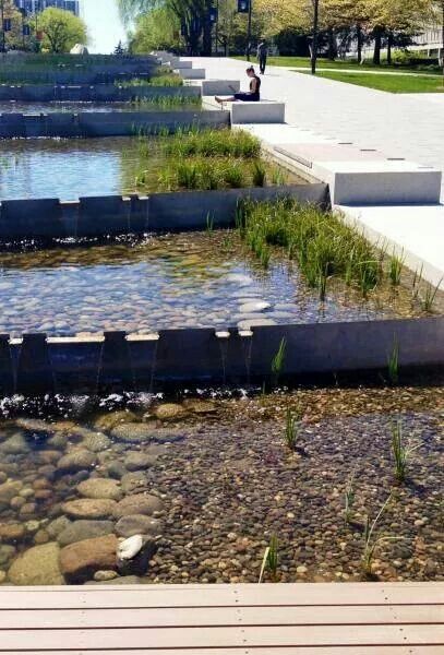 Bioswale/Rain Gardens/BMPs Mata Air, Taman Air, Water Architecture, Calm The Mind, Piscina Natural, Landscape And Urbanism, Landscape Architecture Design, Water Element, Rain Garden