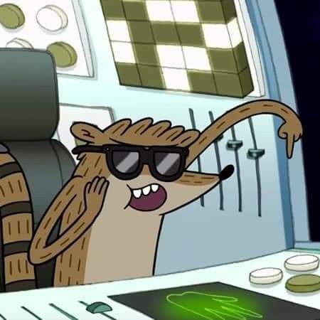 Rigby Regular Show, The Regular Show, Mordecai And Rigby, Regular Show, A Cartoon, Profile Pics, Matching Pfps, Cartoon Network, Matching Pfp