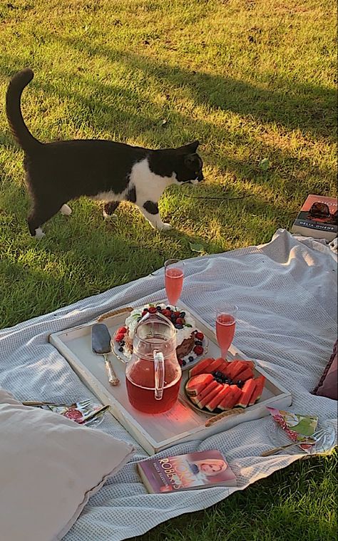 cake cat picnic books watermelon aesthetic summer drinks grass Cat Picnic, Cake Picnic, Hangout Ideas, Picnic Inspo, Cute Picnic, Camping With Cats, Birthday Picnic, Picnic Date, 2024 Vision