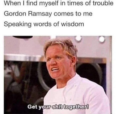 Gordon Ramsay Quotes, Gorden Ramsey, Gordon Ramsay Funny, Food Funny, Ideas Food, Funny Food, Troubled Times, Education Humor, Celebration Quotes