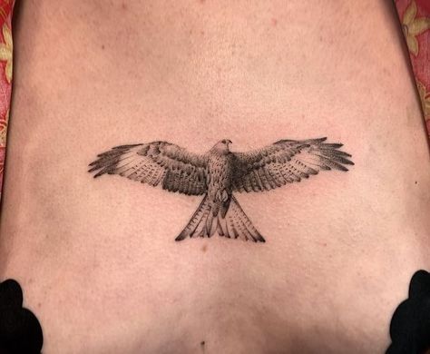 Delicate Hawk Tattoo, Flying Falcon Tattoo, Strong Bird Tattoo, Hawk Outline Tattoo, Bird On Back Tattoo, Kestrel Tattoo Design, Sparrow Hawk Tattoo, Sparrowhawk Tattoo, Australian Bird Tattoo