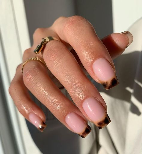 Tortoise Shell Nails French Tip Almond, Tortoise Shell Nails French Tip Coffin, Short Nails Tortoise, Coffin Tortoise Shell Nails, Tortoise Shell French Tip Nails Square, Turtle Shell French Tip Nails, Tortuous Nails, Tortoise Shell Nails Coffin, Turtle French Tip Nails