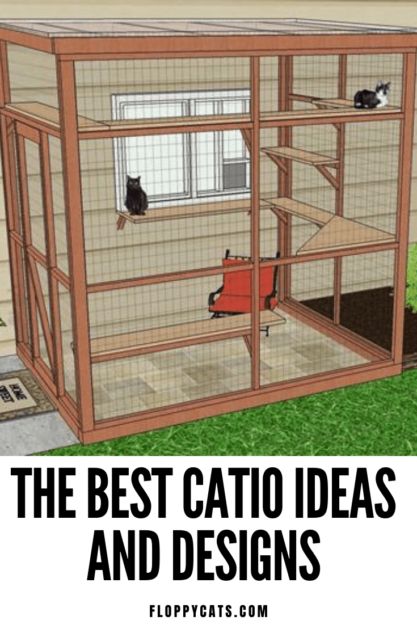 Diy Catios For Cats Plans, Diy Cat Catio Enclosure, Outdoor Cat Lounge, Cat Outside Enclosure Diy Outdoor, Catio Enclosure Outdoor Cats, Outdoor Cat Enclosure Ideas, Catio Plans On Deck, Cattery Ideas Pet Hotel, Catio Cats Ideas